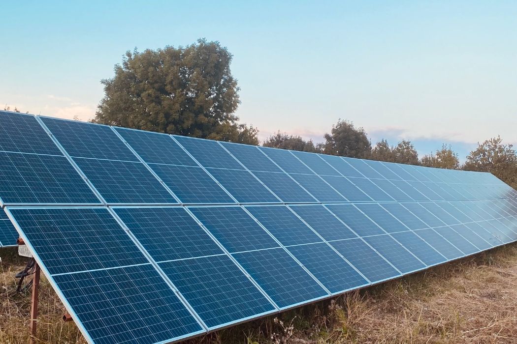 Ground-mounted solar array in a grassy yard